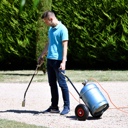 Désherbeur thermique à gaz 1 bruleur alimenté par bouteille pour éliminer les mauvaises herbes - HOZELOCK