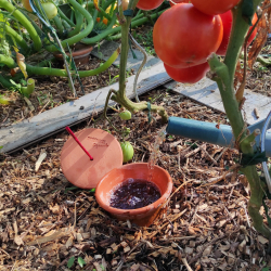 Pot d'arrosage Aquasolo Outdoor Tradi 0.5 L - HOZELOCK