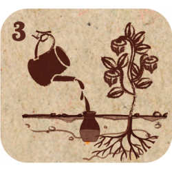 Pot d'arrosage Aquasolo Outdoor Tradi 0.5 L - HOZELOCK