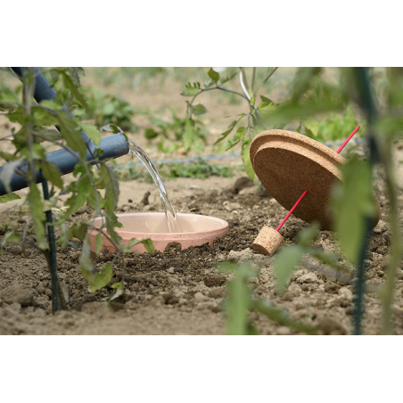 Pot d'arrosage Aquasolo Outdoor Expert 5 L - HOZELOCK