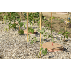 Pot d'arrosage Aquasolo Outdoor Expert 5 L - HOZELOCK