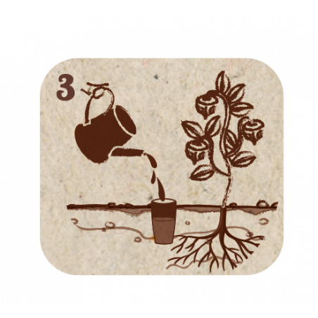 Pot d'arrosage Aquasolo Outdoor Expert 5 L - HOZELOCK