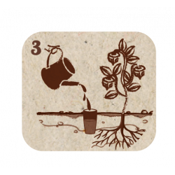 Pot d'arrosage Aquasolo Outdoor Expert 5 L - HOZELOCK