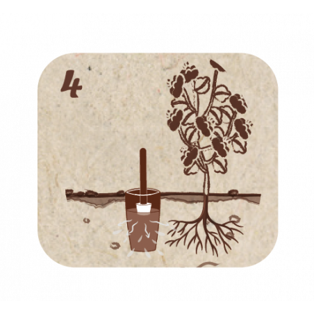 Pot d'arrosage Aquasolo Outdoor Expert 5 L - HOZELOCK