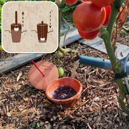 Pot d'arrosage Aquasolo Outdoor Expert 5 L - HOZELOCK