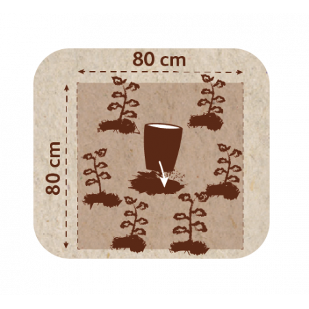 Pot d'arrosage Aquasolo Outdoor Expert 5 L - HOZELOCK