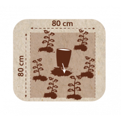 Pot d'arrosage Aquasolo Outdoor Expert 5 L - HOZELOCK