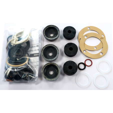 Kit de joints pour pompe Gama 100, Gama 101 et Sygma 100 - BERTHOUD