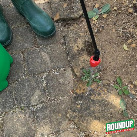 Désherbant cours, allées, terrasses - action 2 en 1 - Bouteille de 400ML - ROUNDUP - Agrément 0100032