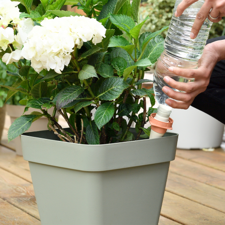 PACK 4 Cônes d'arrosage Aquasolo S pour pot de 25cm - HOZELOCK