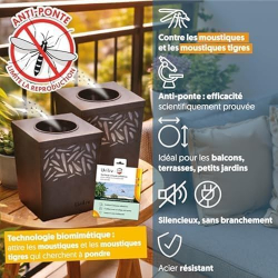Lot de 8 plaques adhésives pour pièges à moustiques anti ponte MINI WILIV - HOME DEFENSE