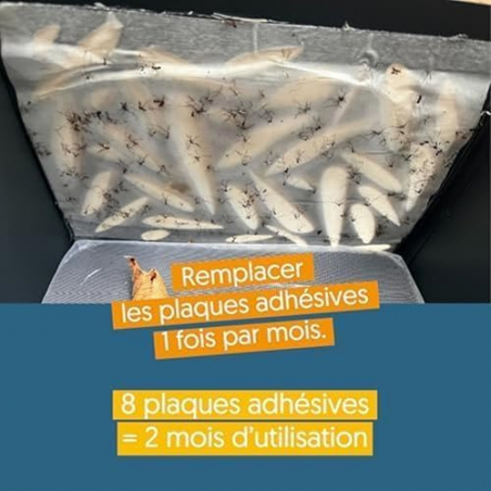 Lot de 8 plaques adhésives pour pièges à moustiques anti ponte MINI WILIV - HOME DEFENSE