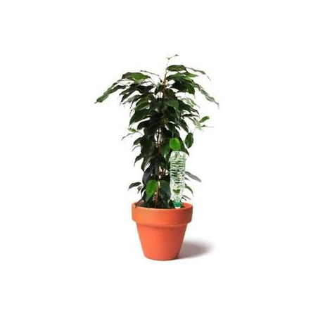 PACK 4 Cônes d'arrosage Aquasolo M pour pot de 40cm - HOZELOCK