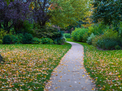 Préparer son jardin pour l’automne : les bons gestes à adopter