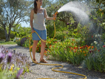 Comment bien arroser ses plantes et son potager ?